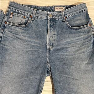 AG Adriano Goldschmied Light Blue Straight Jeans women’s size 32